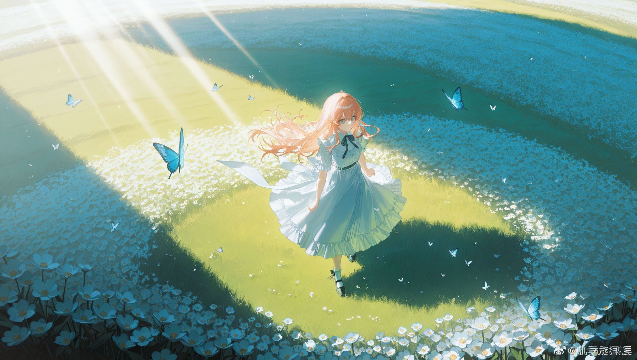 蝶が舞う夜の花畑