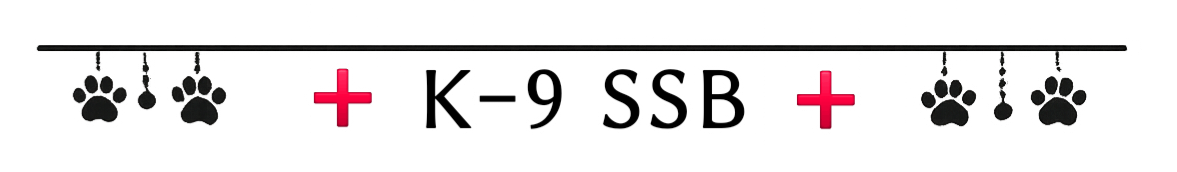 罫線