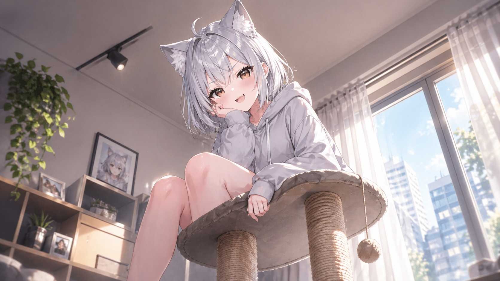 初対面キャットタワー