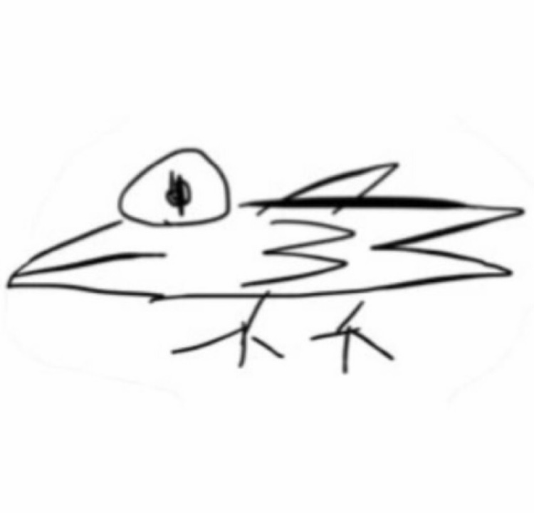 ナゾノトリ