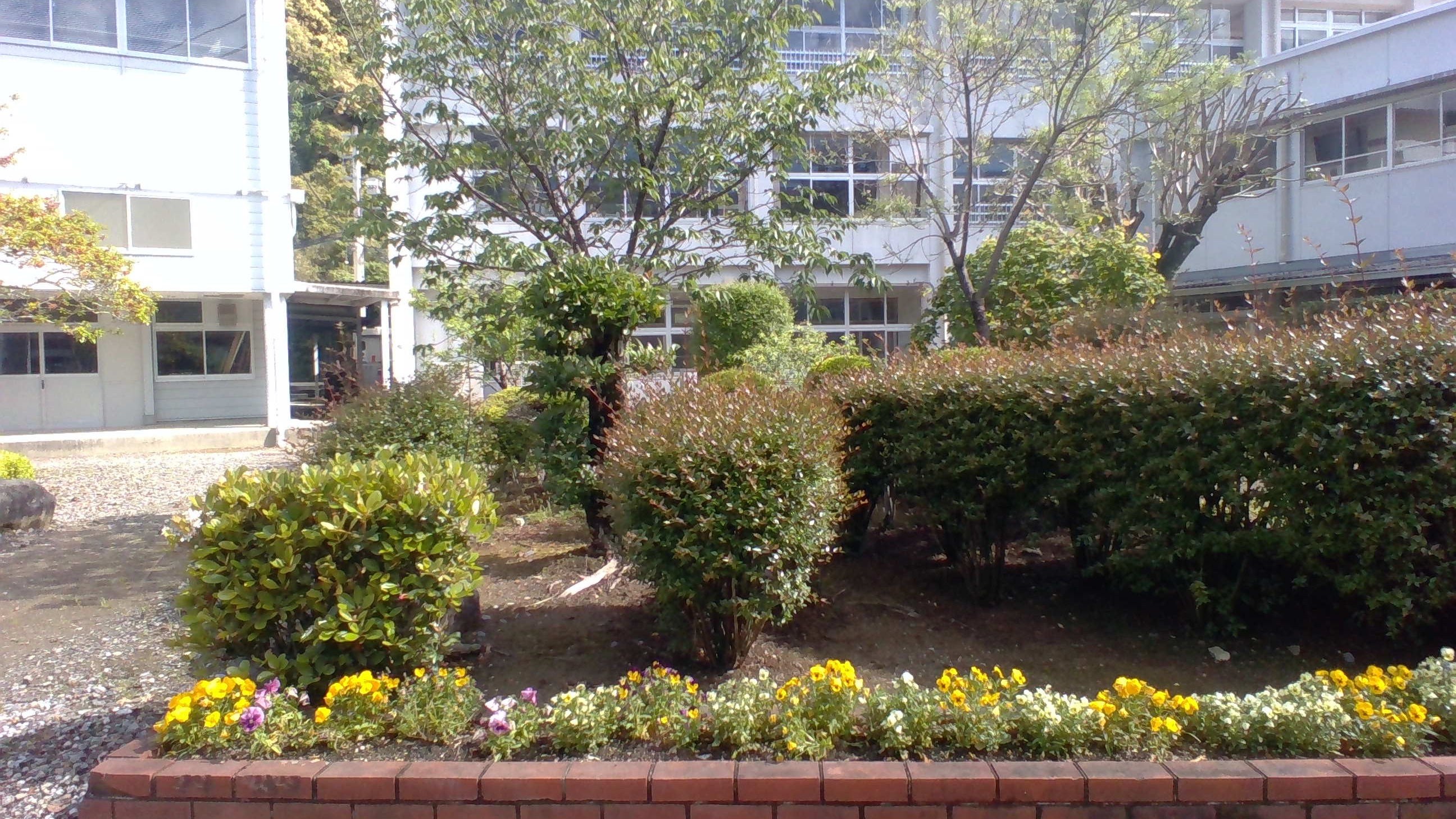広い庭に、白い砂利が敷かれていて、石段がある。